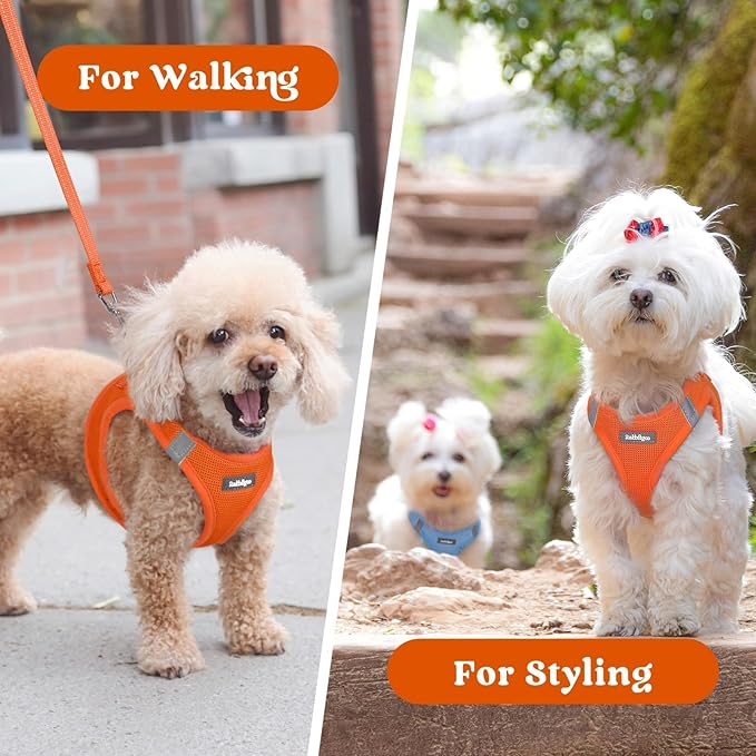 rabbitgoo Small Dog Harness, Step-in Soft Mesh Puppy Vest with Safety Buckle, Breathable Reflective Pet Harness for Small Medium Dogs, Orange L