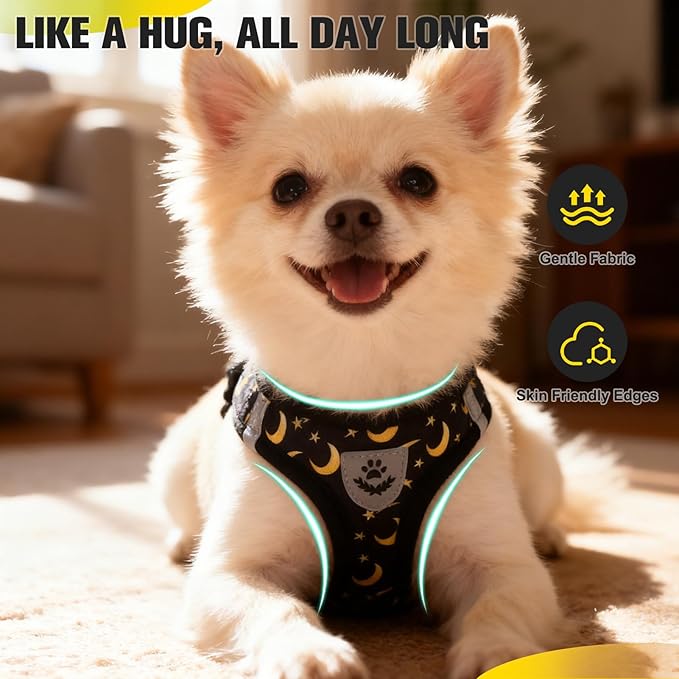EXPAWLORER Small Dog Harness and Leash Set - Cute Puppy Harness Leash Dog Collar with AirTag Holder Silicone Case, Soft Padded Step in Pet Vest Reflective for Outdoor Walking, Star-Moon M