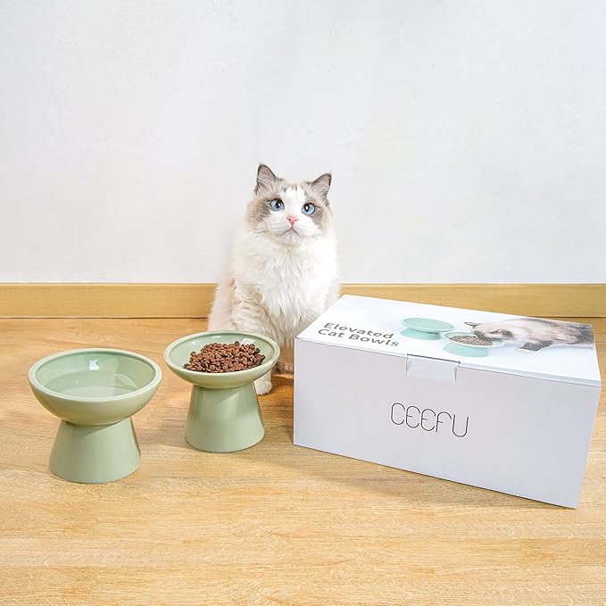 CEEFU 2 Elevated Ceramic Cat Bowls Extra Wide for Food & Water – Whisker Fatigue Shallow Food Dish, Lead & Cadmium-Free, Raised Height for Cats, Sage Green