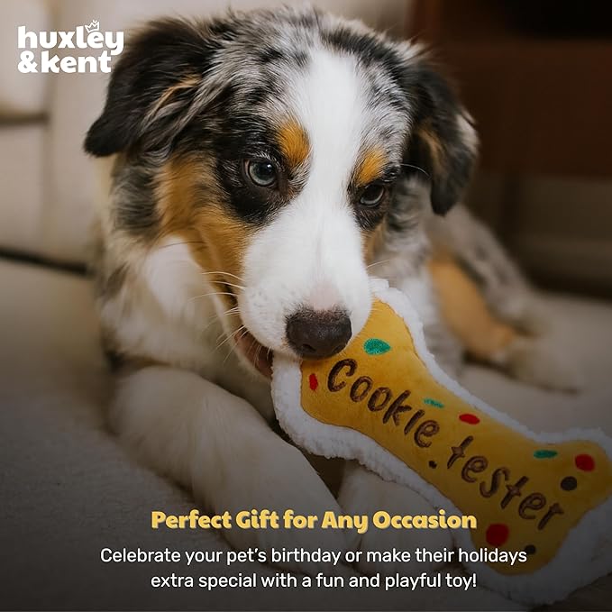 Huxley & Kent Funny Dog Toy w/Squeaker – Holiday Power Plush Squeaky Dog Toys for Small, Medium & Large Dogs – Soft Stuffed Animal for Indoor Play & Fetch - Cookie Tester Bone, Small