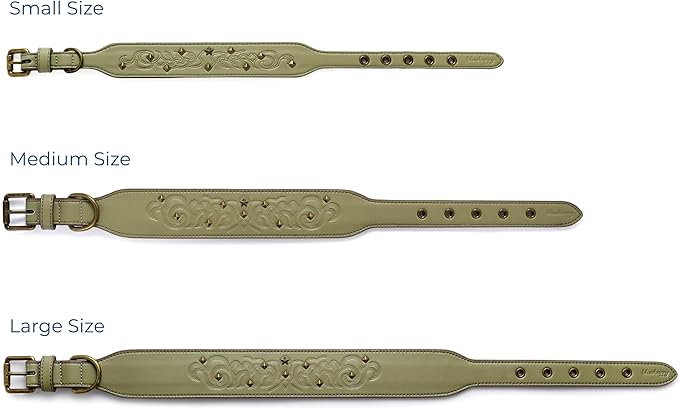 Blueberry Pet Premium Embossed Sage Green Glam Silver-Powered Freshness Microfiber Leather Dog Collar with Antique Brass Studs