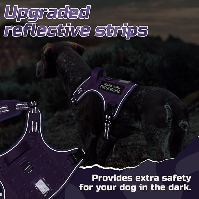 rabbitgoo Tactical Dog Harness for Large Dogs, No Pull Military Service Vest with Handle & Molle, Easy Control for Training Walking, Adjustable Reflective Straps, Purple, L