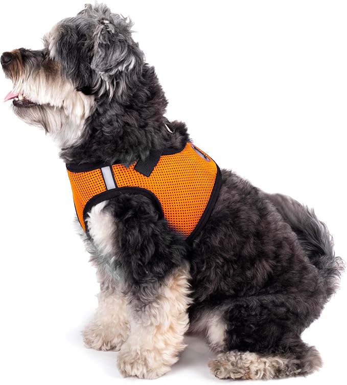 THE WORTHY DOG Step-in Dog Harness for Large Dogs, Comfortable Mesh, Reflective, Strong Hook and Loop Closure, Quick Release Buckle, Orange, X-Large