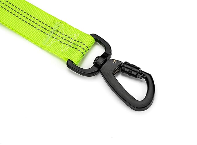 LEADSOM 6FT Highly Reflective Heavy Duty Elastic Bungee Medium and Large Dog Leash Shock Absorbing with Comfortable Padded Handle and Traffic Handle Suitable for Training