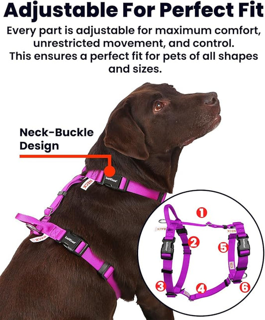 Non Restrictive Dog Harness, Easy Walk Freedom No Pull Harness, Keep Balance, Neck Buckle, 2 Leash Clips for Back/Front Clip, Sewn-in Instructions Labels for Easy Put On/Off (Purple, XLarge)