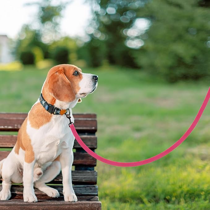 PUPTECK Reflective Dog Leash with Comfortable Padded Handle Durable Nylon Dog Lead for Small Medium and Large Dogs Cats Walking Running Training Outside, Hot Pink, M