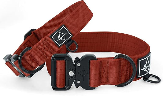 Made to ROAM Premium Dog Collar - Adjustable Heavy Duty Nylon Collar with Quick-Release Metal Buckle (Texas Flair, Classic Size 1)