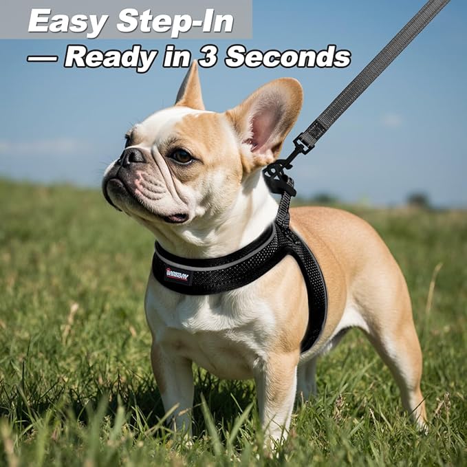 Dog Harness and Leash Set,Step in Small Sized Dog Harness,Soft Mesh,No-Chock,Reflective Adjustable,Secure with Hook & Loop Fastener,Puppy Vest for Small,Medium Dogs(Black,L)