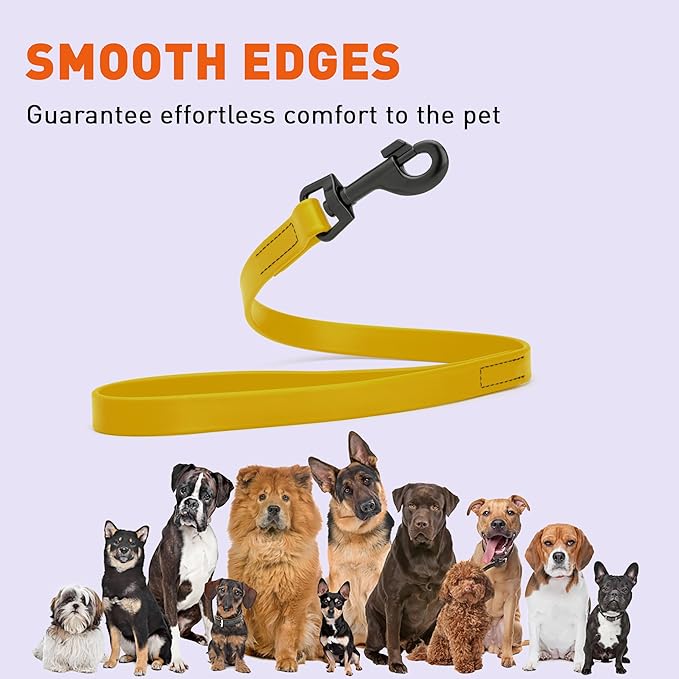 Dogline Biothane Waterproof Dog Leash Strong Coated Nylon Webbing with Black Hardware Odor-Proof Easy to Clean High Performance for Small or Large Dogs Made in USA 2 ft Lead, Treasure Gold