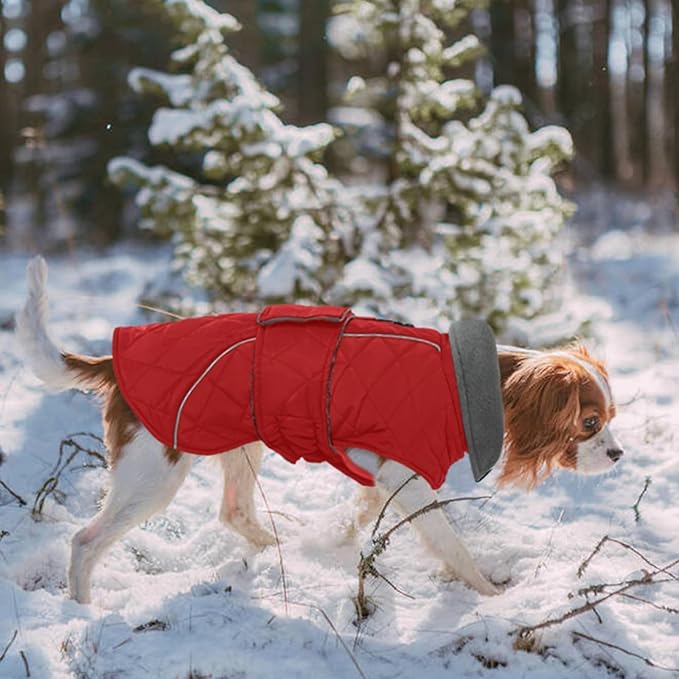 Kuoser Dog Winter Coat Waterproof Dog Snow Jacket, Warm Fleece Lined Pet Turtleneck Snowsuit Puppy Cold Weather Coats with Harness Hole, Adjustable Winter Vest for Medium Large Dogs, Red, L