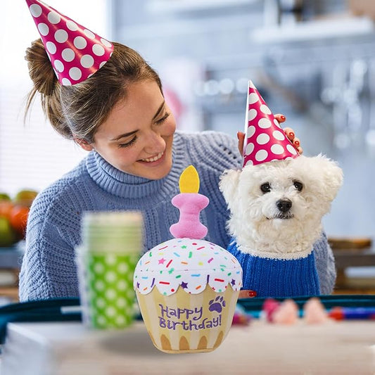 MRSOHRET Dog Birthday Toy, Birthday Cake Plush Squeak Dog Toys for Puppy Gifts, Unique Bone Candle Design, Dogs Party Decor