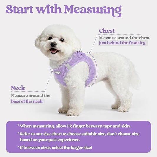 rabbitgoo Dog Harness Small Sized and Leash Set, Step in Soft Light Puppy Vest, Breathable Mesh Pet Harness, Reflective for Safe Easy Walking, Light Purple XXXS