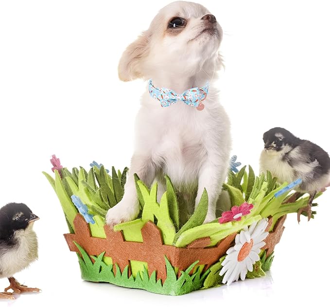 Easter Dog Collar With Bow Tie, Cotton Carrot Bowtie for Large Girl Boy Dog, Cute Bunny Pet Collar With Metal Buckle, Gift, L