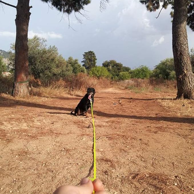 Long Dog Leash Waterproof Recall Training Lead Outdoor Long Line Great for Training, Beach, Play, Camping, or Backyard