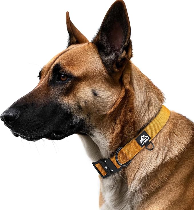 Dog Collars for Small Dogs Chritsmas Boy Girl - Adjustable, Chew Proof Nylon Collar with Metal Quick Release Buckle and D-Ring for Dog Tags (Turmeric Yellow, S)(not Included The Pendant)