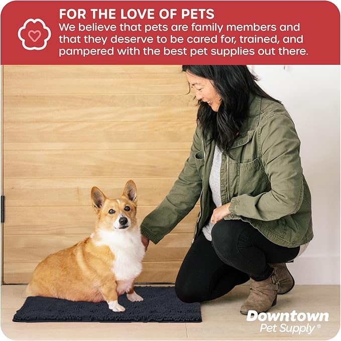 My Doggy Place Dog Mud Mat, 18" x 24" Charcoal – Thick Microfiber Entry Rug for Snow, Mud & Salt – Absorbent, Quick-Dry, Washer-Safe & Non-Slip, Small