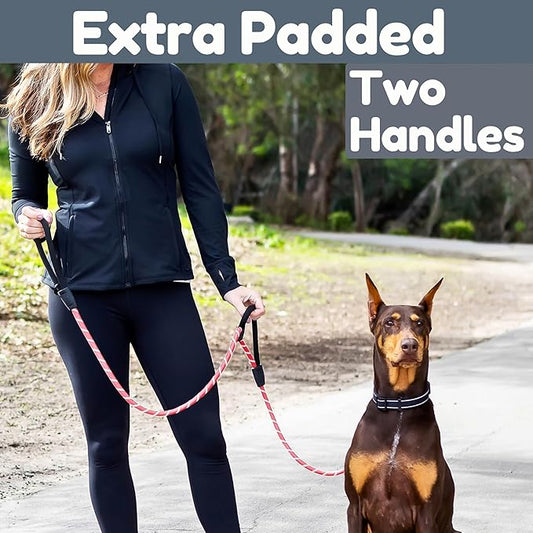 6 Foot Dog Leash, Two Extra Padded Handles, Locking Carabiner Clip, Reflective for Night Visibility, Weatherproof, Heavy Duty Rope Leash, Roam Gear (Pink)