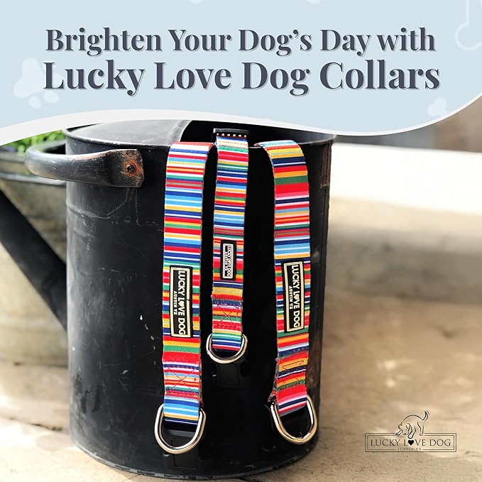 Lucky Love Dog Collars, Rainbow Stripes Pattern Dog Collar for Medium Dogs, Comfortable & Soft Cute Girl or Boy Dog Collar, Hippie, Medium