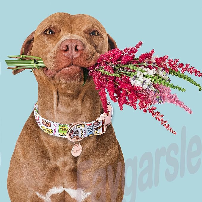 Faygarsle Snack Pattern Dog Collar for Small Medium Large Dogs Cute Puppy Collars for Female Dogs for Summer Spring Wedding Necklace Girl Dog Collar L