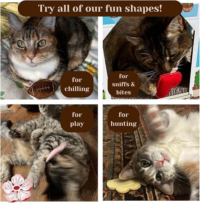 Catnip Toy – Football Shape, Organic Catnip, 100% Wool Felt, Grown & Made in The USA - Football