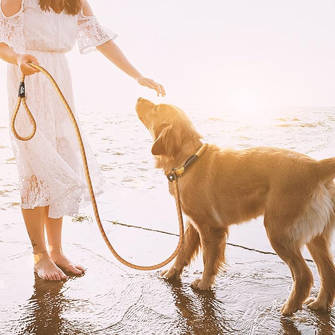 TwoEar 6FT Slip Lead Dog Leash, Heavy Duty Slip Leash for Dogs with Highly Reflective, Strong Rope Slip Leads No Pull Pet Training Leashes for Large Medium Dogs (1/2", Orange)