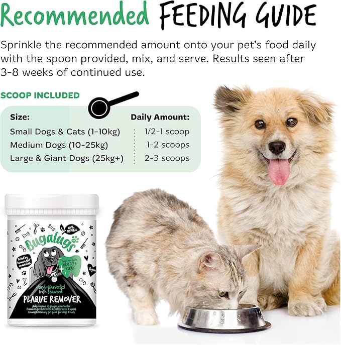BUGALUGS Plaque Off Remover for Dog Teeth & Bad Breath 100% Natural | Plaque Off No Toothbrush or Dog Toothpaste | Remove Dog Bad Breath & Plaque Remover for Dogs & Cats (Dog 70g)