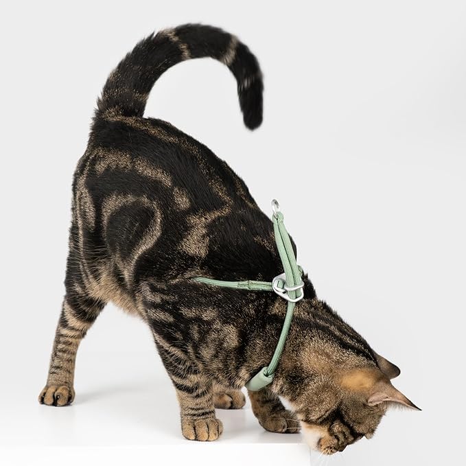 BuddyArmor Escape Proof Y Shape Cat Harness Anti-Choke Buckle Adjustable Comfortable Padded Cat Vest Harness Anti Escape Cat Rope Harness for Kitten Small Medium Large Cats (Olive, S)