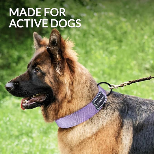 Heavy Duty Dog Collar for Large or Medium Dogs, Adjustable Strong Dog Collar for Active Dogs, Double-Layered Nylon (Lilac, 15-23)