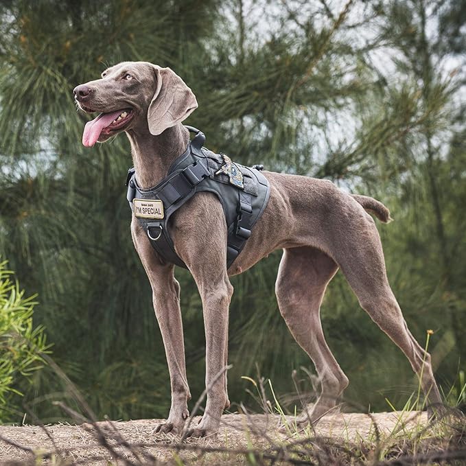 OneTigris Tactical Dog Training Vest No Pull Harness for Dogs,Adjustable Dog Hiking Harness Working Vest(Grey, Large)