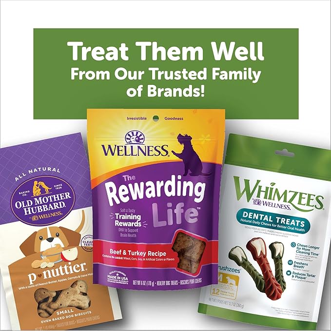 Whimzees Wellness Alligator Dog Dental Treats, Natural Chews, Large Size, (6 Count)