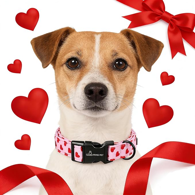 ARING PET Valentine's Day Dog Collar, Cute Pink Heart Pet Collars with Quick Release Buckle for Puppy Small Medium Large Boy Girl Dogs-XS