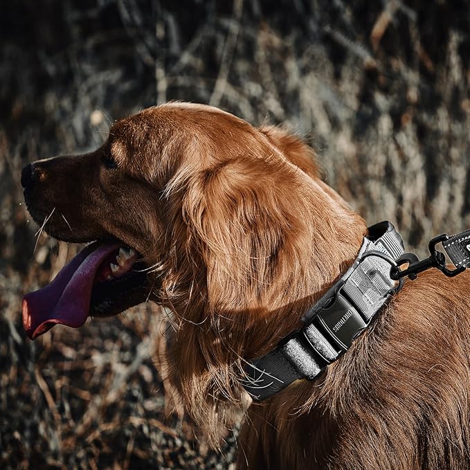 OneTigris Tough Dog Collars, Tactical Dog Collar with Handle, Milltary Adjustable Dog Collar with Heavy Duty Metal Buckle for Training (Medium,Gray)