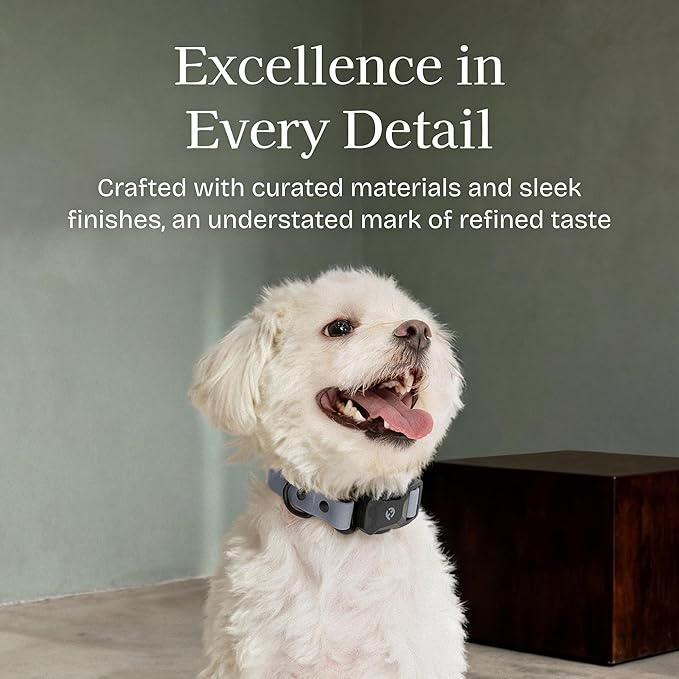 2026 New Edition, Fei & Eve PVC MagEase Dog Collar - Patented Magnetic Buckles | Fur-Safe | 450LB Escape-Proof | Adjustable Fit | Small (Twilight Gray)