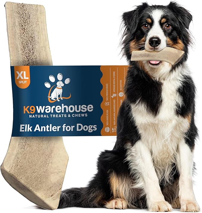 K9warehouse Natural Split Elk Antlers for Dogs - Premium Grade Dog Antler Chews - Long-Lasting Deer Antles Ideal for Aggressive Chewers - Safe USA Sourced Chew for Medium and Large Dogs - 1 Pack