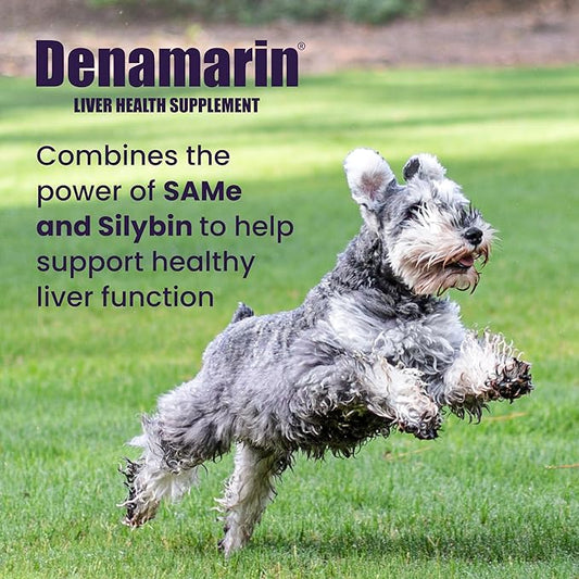 Nutramax Laboratories Denamarin Liver Health Supplement for Medium Dogs - With S-Adenosylmethionine (SAMe) and Silybin, 30 Tablets