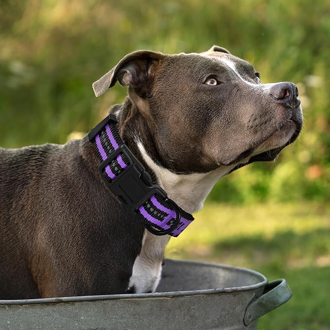 Mile High Life Reflective Dog Collar & Leash Set - Adjustable, Medium (Purple, Pack of 2)