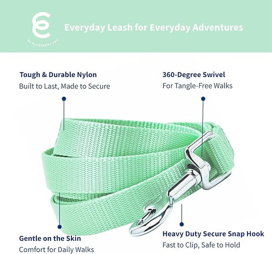 Blueberry Pet Essentials Pastel Green Dog Leash for Medium - 5' * 3/4" Dogs | Heavy Duty Nylon Lead | Lightweight Puppy & Cat Leash for Walking & Training