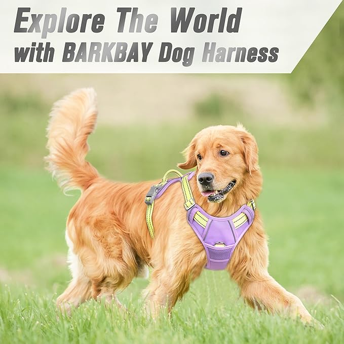 BARKBAY No Pull Dog Harness Front Clip Heavy Duty Reflective Easy Control Handle for Large Dog Walking(Violet Purple & Sunlight,M)