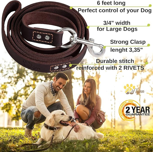 ADITYNA Leather Dog Leash 6 ft x 3/4 inch - Soft, Strong, Heavy Duty for Large & Medium Breeds - Dog Lead for Walking, Training, Hiking and Running (Brown)