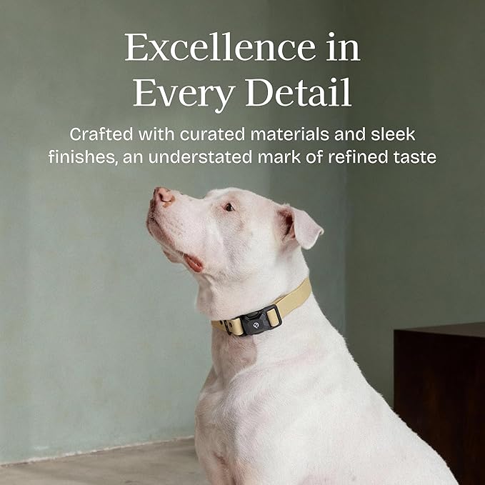 2026 New Edition, Fei & Eve PVC MagEase Dog Collar - Patented Magnetic Buckles | Fur-Safe | 450LB Escape-Proof | Adjustable Fit | Large (Champagne)