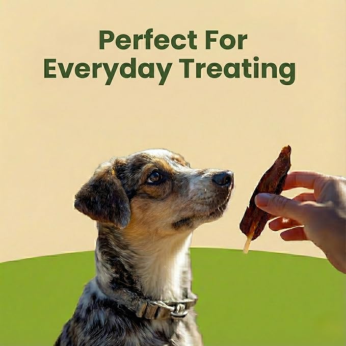 Pet 'n Shape Chik 'n Skewers – Duck Wrapped Rawhide Chew Dog Treats - 1 Pound