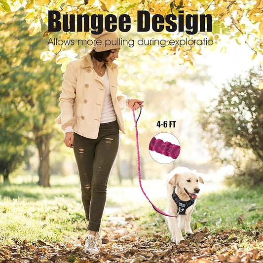 BUMBIN 6Ft Dog Leash Large Dogs, Bungee Dog Leash with 2 Handles, Heavy Duty Leashes for Medium Small Dogs, No Pull Shock Absorbing,with Car Seat Belt for Training, Pink