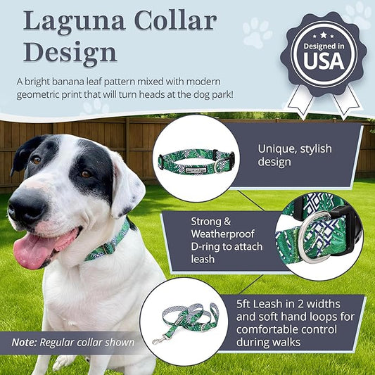 Lucky Love Dog Collar and Leash Set, Beautiful & Vivid Patterns, Easy On & Off Clasp Accessory (Blue Laguna, M Combo)