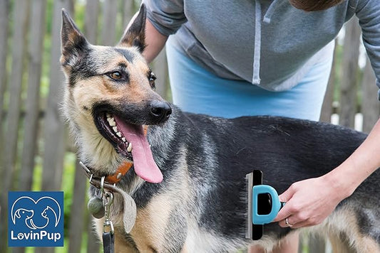 LOVINPUP Dog Grooming Brush, Professional Grooming Tool for Dogs, Deshedding Brush, Removes Tangles, Knots, Dead or Loose Hair, Removable Stainless Steel Comb, with Comfort Grip Handle