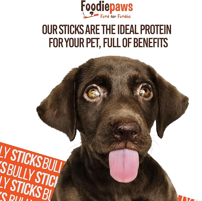 FOODIEPAWS 5 Inch Bully Sticks for Dogs, 25 Pack Bulk | All Natural, Grass-Fed Beef | High Protein, Rawhide-Free & Fully Digestible Dog Chews | Long Lasting Dental Treats for Small & Medium Dogs
