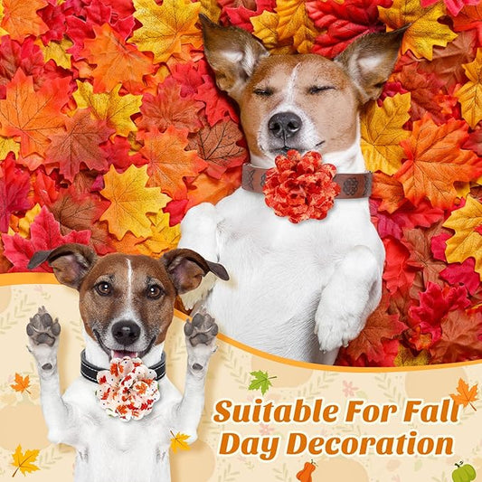 50 Pieces Fall Thanksgiving Dog Collar Flowers Bulk Maple Leaves Dog Charms Grooming Accessories Bow Tie Flower for Pets Cat Collar Attachment Embellishment Autumn Party Costume Photo Props