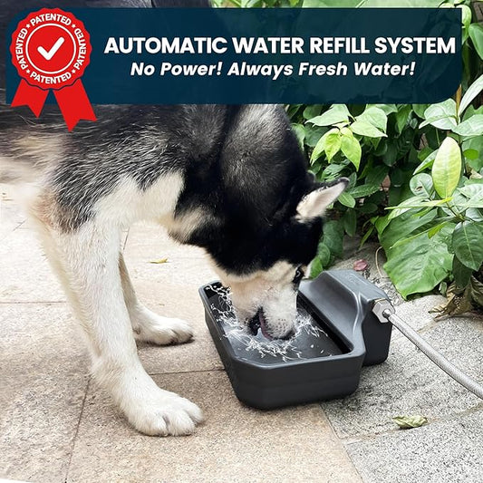 PETIMI Automatic Dog Water Dispenser, 1 Gallon Auto-Fill Dog Water Bowl Dispenser for Indoor/Outdoor, Large Water Feeder for Pets & Livestock, Fits GHT 3/4" Faucet, BPA Free, Easy to Clean, Gray