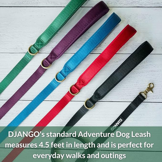 DJANGO Adventure Dog Leash – Strong, Comfortable, and Stylish Dog Leash with Solid Brass Hardware and Padded Handle - Designed for Outdoor Adventures and Everyday Use (Forest Green)
