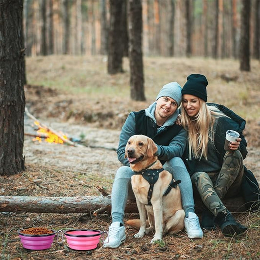 Dog Bowl Large Pet Collapsible Bowls, 2 Pack Collapsible Dog Water Bowls for Cats Dogs, Portable Pet Feeding Watering Dish for Walking Parking Traveling with 2 Carabiners (Large, Pink+Purple)
