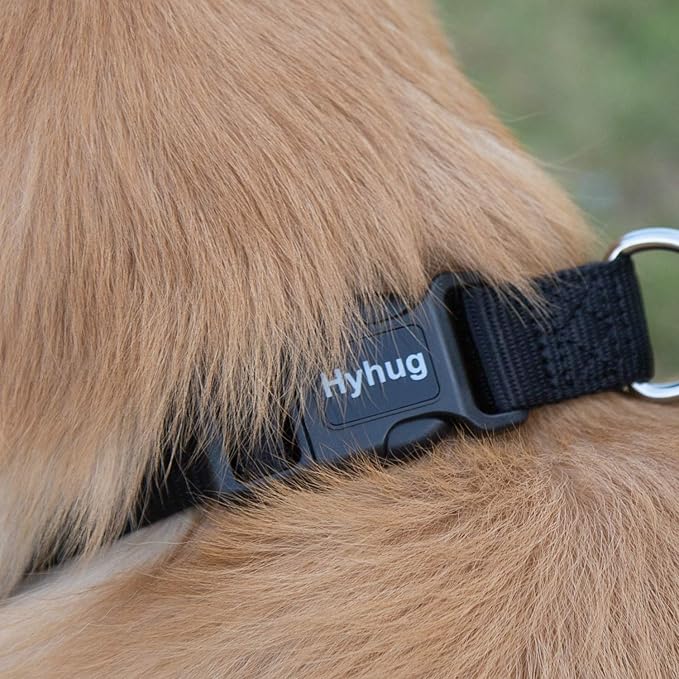 Hyhug Small Dog Collar Quick-Release Black| Heavy-Duty Nylon Puppy Collar, Adjustable & Durable Pet Supplies for Boy & Girl Dogs (Small, Black)